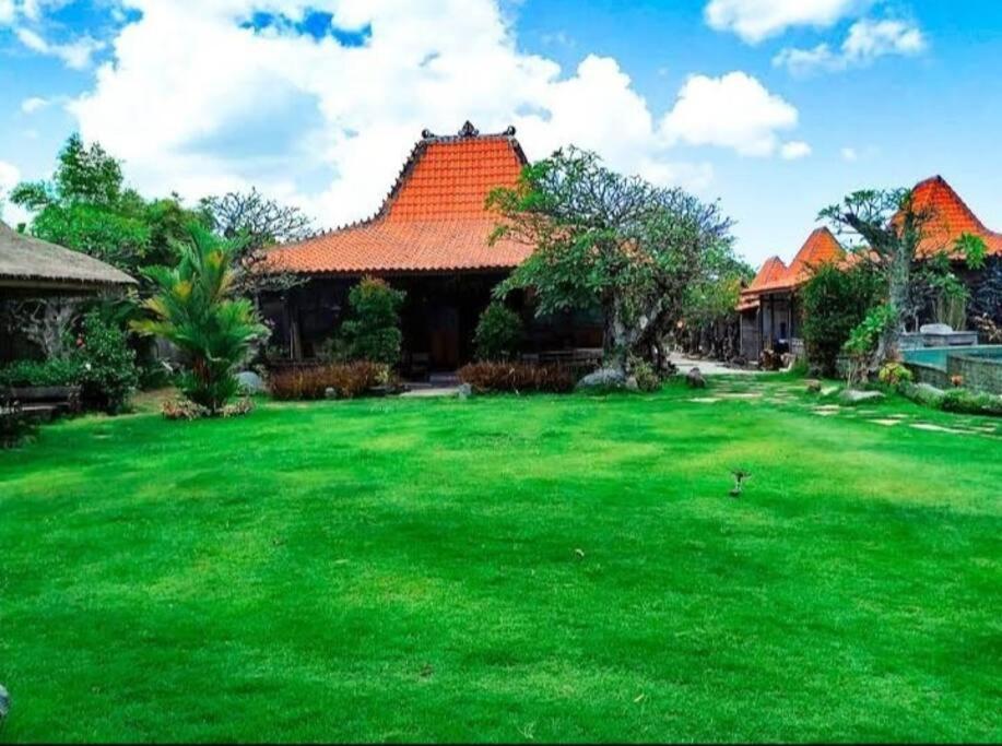 Damai * Canggu (Bali)